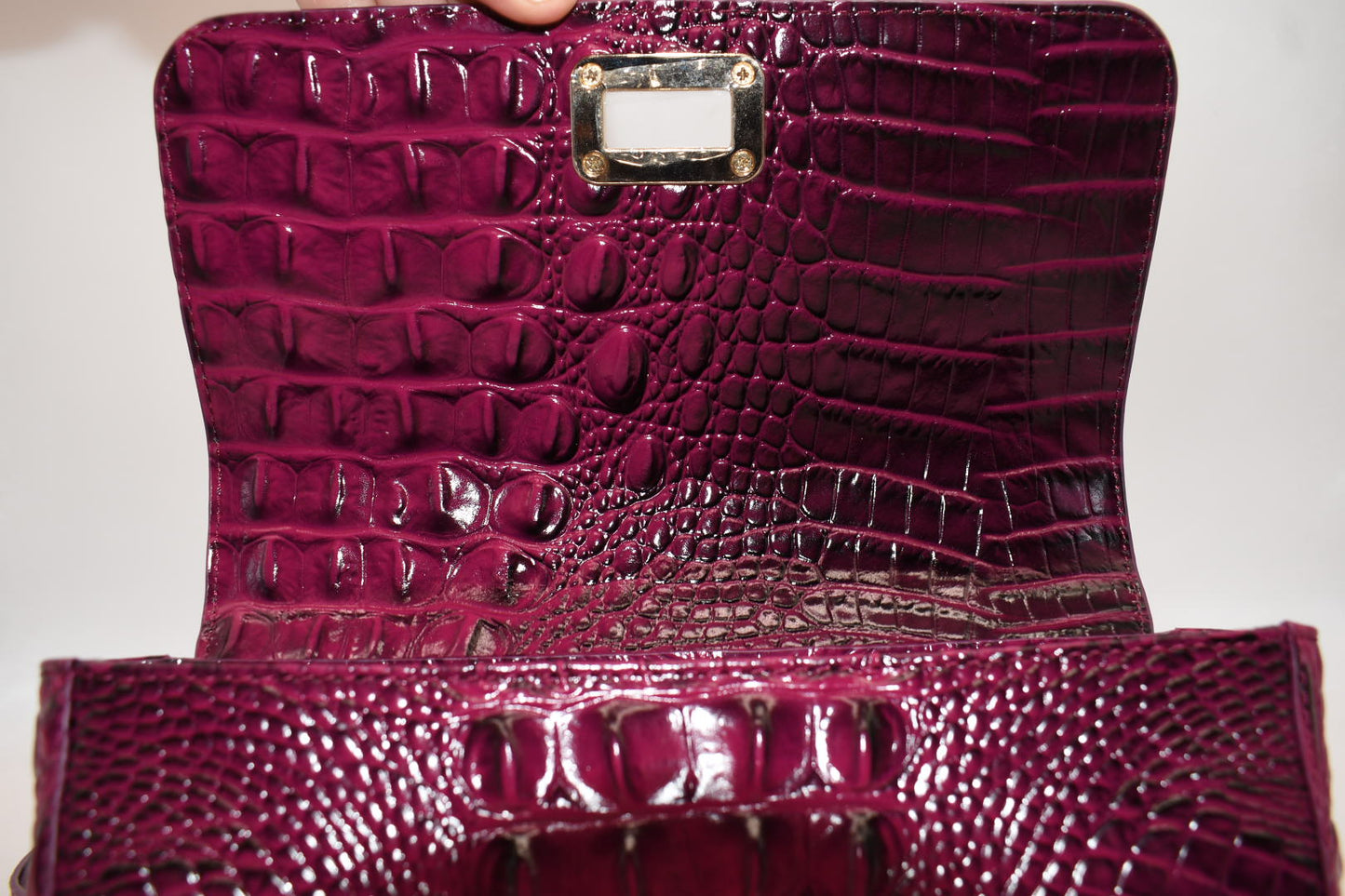 Brahmin Rosa Crossbody Bag in Sugar Plum Melbourne