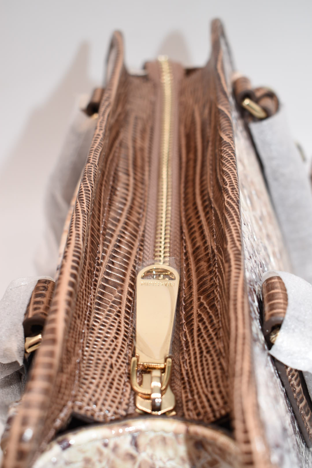 Brahmin Cami Satchel Bag in Multi Eirwen