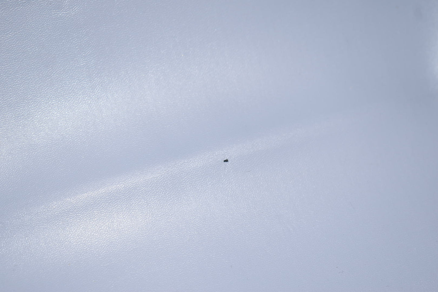 Vera Bradley Medium Family Tote Bag in "It's Raining Hedgehogs" Pattern