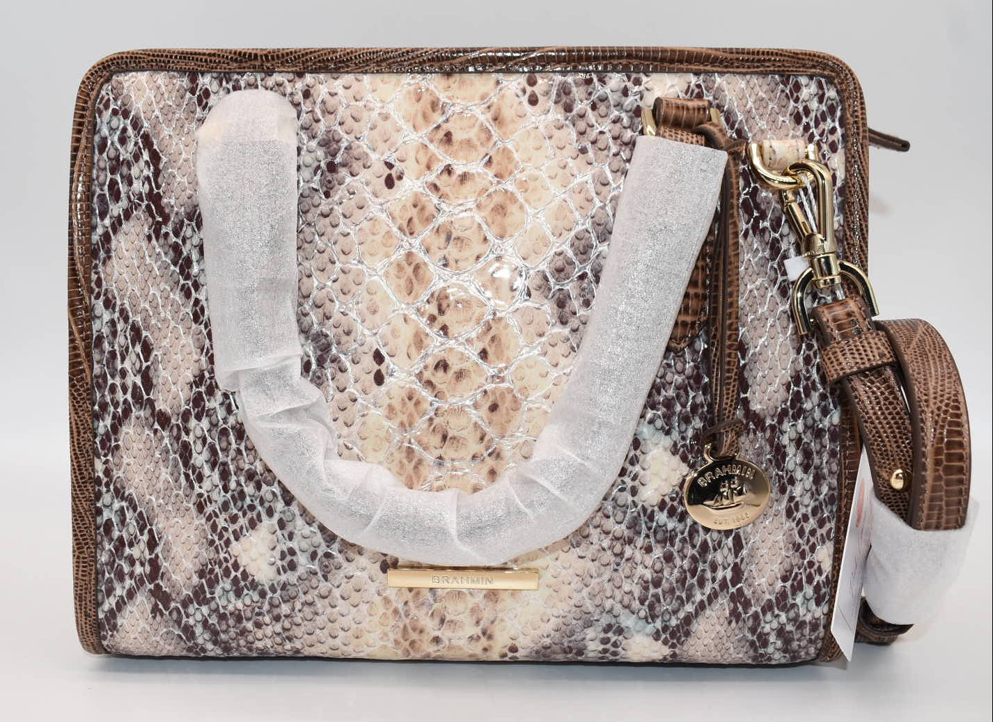 Brahmin Cami Satchel Bag in Multi Eirwen